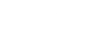 Budget driving school (1)